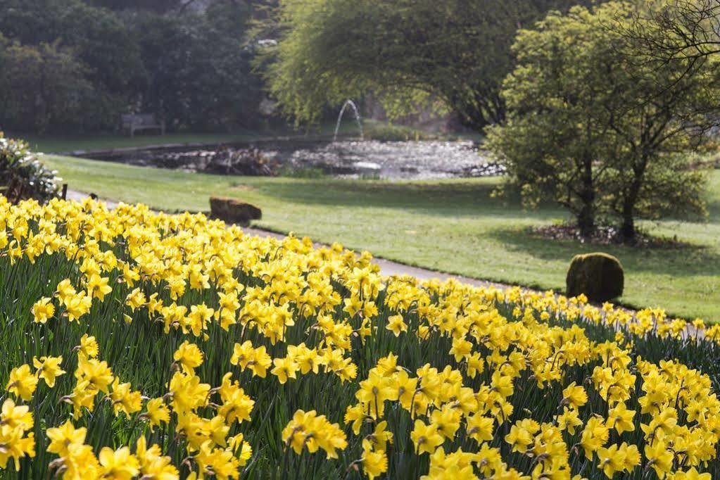 Gliffaes Country House Hotel Crickhowell Exterior foto