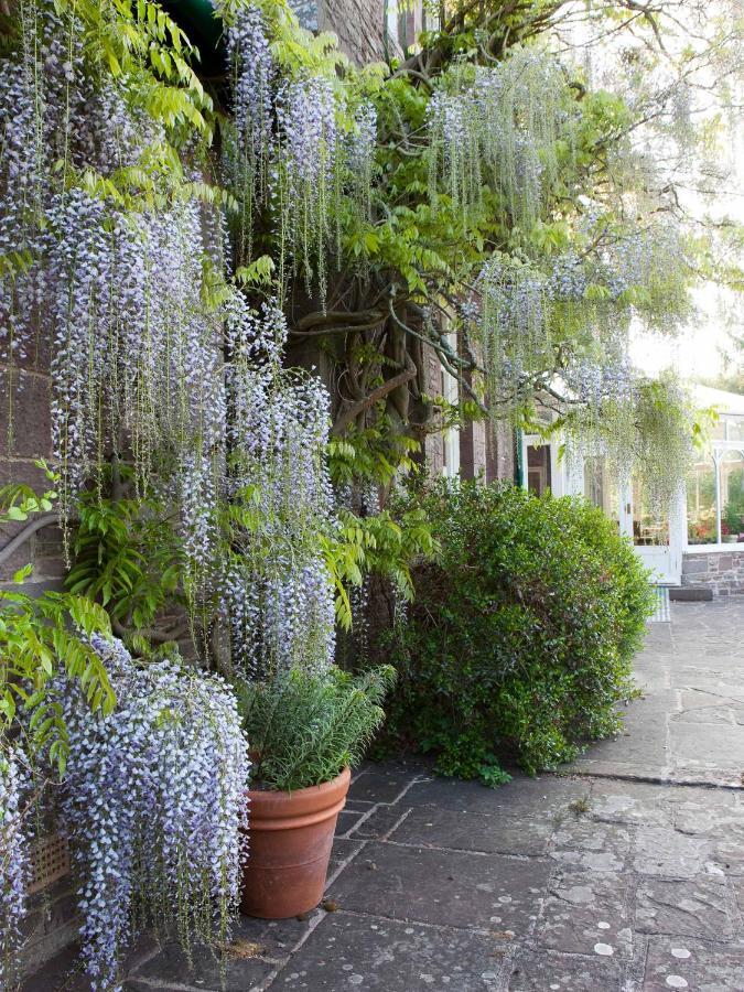 Gliffaes Country House Hotel Crickhowell Exterior foto